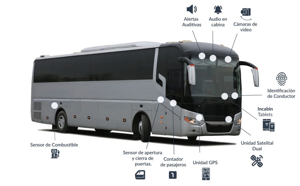 bus-1-1024x636